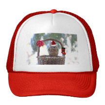 Christmas Squirrel in Snowy Basket Hat