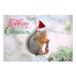 Christmas Squirrel Wearing Santa Claus Hat Photo