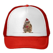 Christmas Squirrel with Candy Cane Hat