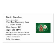 Christmas Squirrel with Snowflakes Business Card Templates