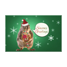 Christmas Squirrel with Snowflakes Stretched Canvas Print