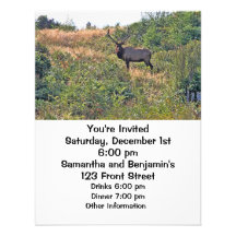 Christmas Squirrel with Snowflakes Invitations