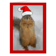 Christmas Squirrels Greeting Card
