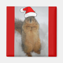 Christmas Squirrels Magnet
