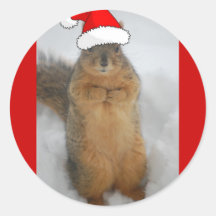 Christmas Squirrels Round Stickers