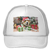 Christmas - St Bernard Aussie X - Bailey Hats