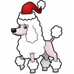 Christmas Standard/Miniature/Toy Poodle (show cut) Photo Cut Outs