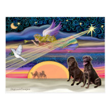 Christmas Star - Labradors (two Chocolate) Postcards