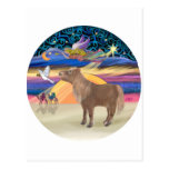 Christmas Star- Shetland Pony Postcard
