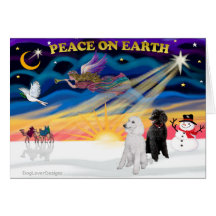 Christmas Sunrise - Poodles (2 standard) Greeting Cards