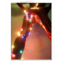 Christmas Tangle 08 Card