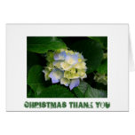 CHRISTMAS THANKYOU CARD