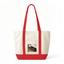Christmas tote bag has cat wearing a santa hat