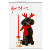 Christmas Toy Poodle Dog Cards