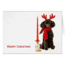 Christmas Toy Poodle Dog Greeting Cards