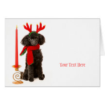 Christmas Toy Poodle Dog Greeting Cards