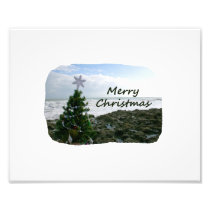 Christmas Tree Against Beach Rocks Merry Christmas Photograph