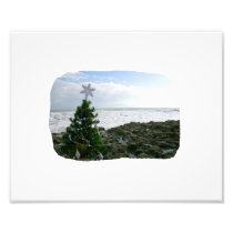Christmas Tree Against Beach Rocks Photo
