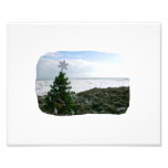 Christmas Tree Against Beach Rocks Photo