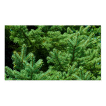 christmas tree branches business card template