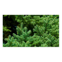christmas tree branches business cards