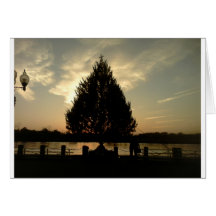 Christmas Tree Greeting Cards