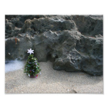 Christmas Tree In Front Of Rocks.jpg Photo Print