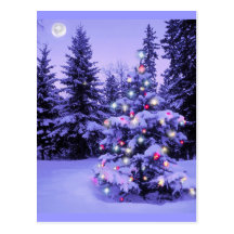 Christmas Tree in the Forest Postcards