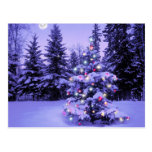 Christmas Tree in the Forest Postcards