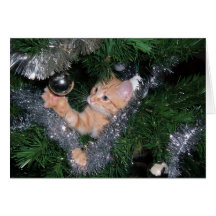 Christmas tree kitten - Customized Greeting Cards
