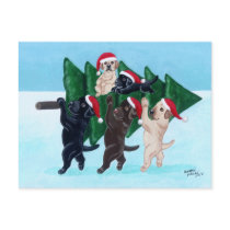Christmas Tree Labradors in the snow field