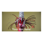 Christmas tree ornament picture card