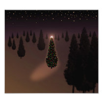 Christmas Tree Photographic Print