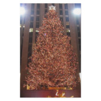 Christmas Tree Rockefeller Centre