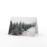 Christmas Trees Card