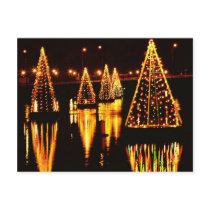 Christmas Trees In the Bay Postcard
