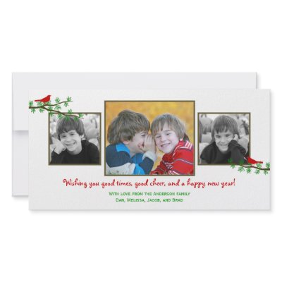 Christmas Twitters Holiday Photo Card by berryberrysweet