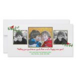 Christmas Twitters Holiday Photo Card photo cards