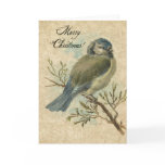 Christmas, Vintage Bluetit Cards