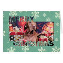 Christmas - Vizsla - Budda Card