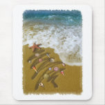 Christmas Washed Up on Shore