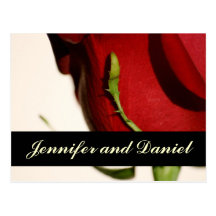 Christmas Wedding Save the Date Rose Announcement Postcards
