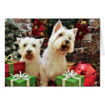 Christmas - Westies - Bailey and Callie Greeting Cards