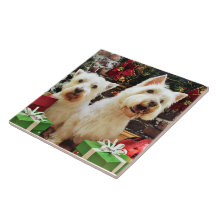 Christmas - Westies - Bailey and Callie Tile