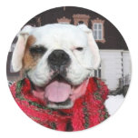 Christmas White Boxer Dog Stickers