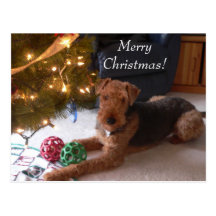 Christmas with Madeleine Postcard