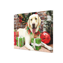 Christmas - Yellow Labrador - Strider Stretched Canvas Print