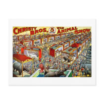 Christy's Wild Animal Show - Vintage Postcards
