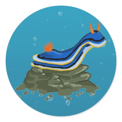 Chromadoris Nudibranch by NoadiArt