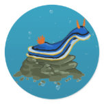 Chromadoris Nudibranch stickers